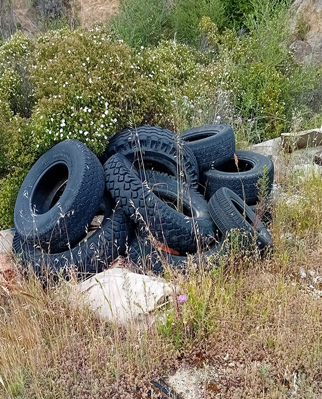 coneco-gomme